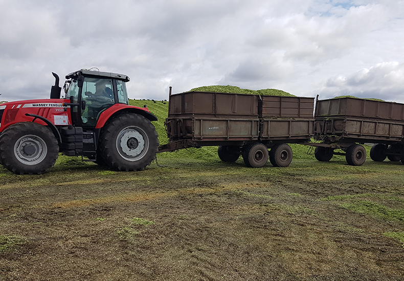 Демо-показы трактора Massey Ferguson 7624