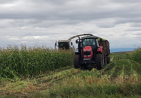 Демо-показы трактора Massey Ferguson 7624