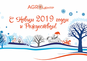 С Новым 2019 годом и Рождеством! 