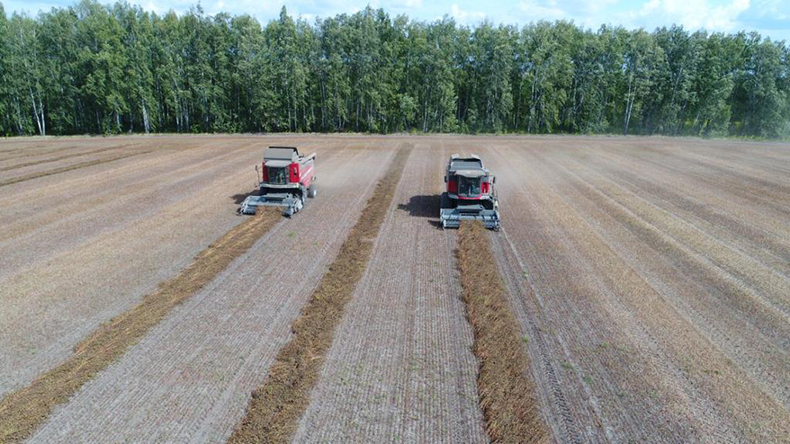 Комбайны Massey Ferguson