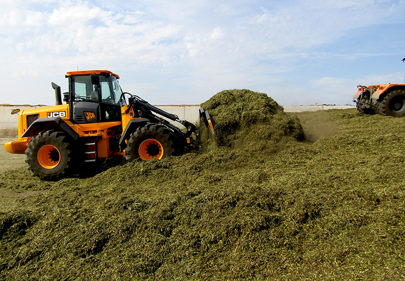 Погрузчик JCB 434S