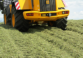 Погрузчик JCB 434S