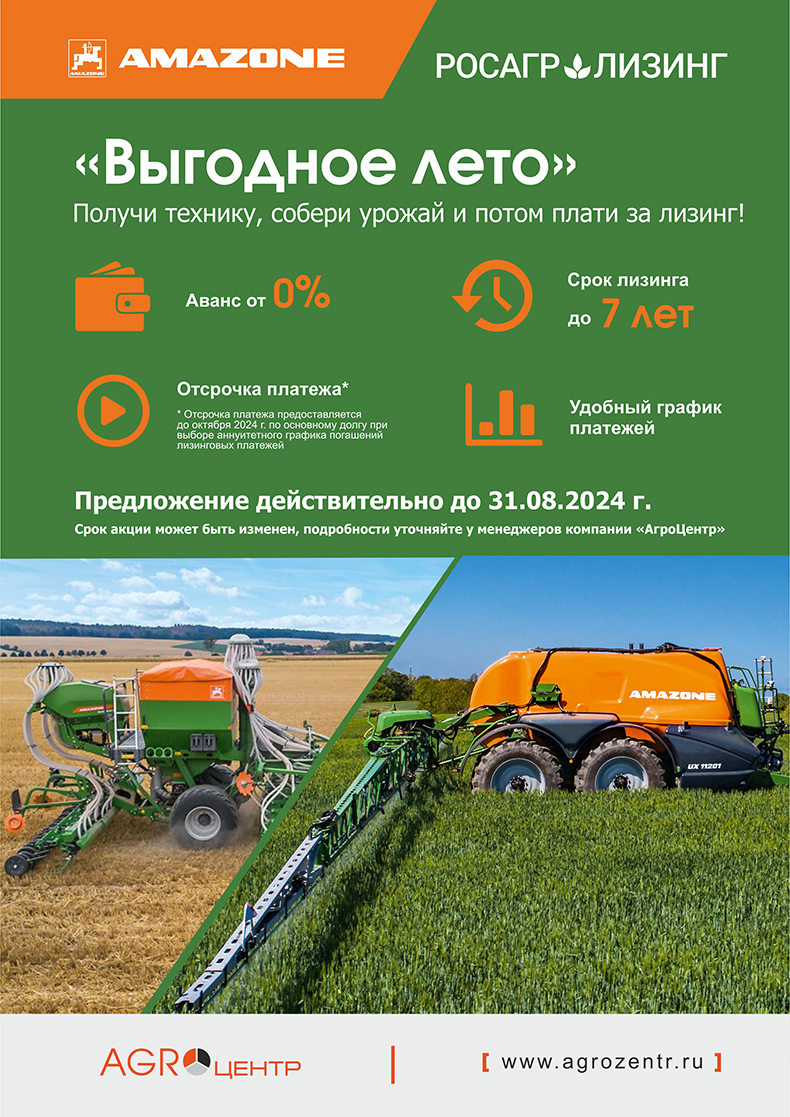 «Выгодное лето». Amazone